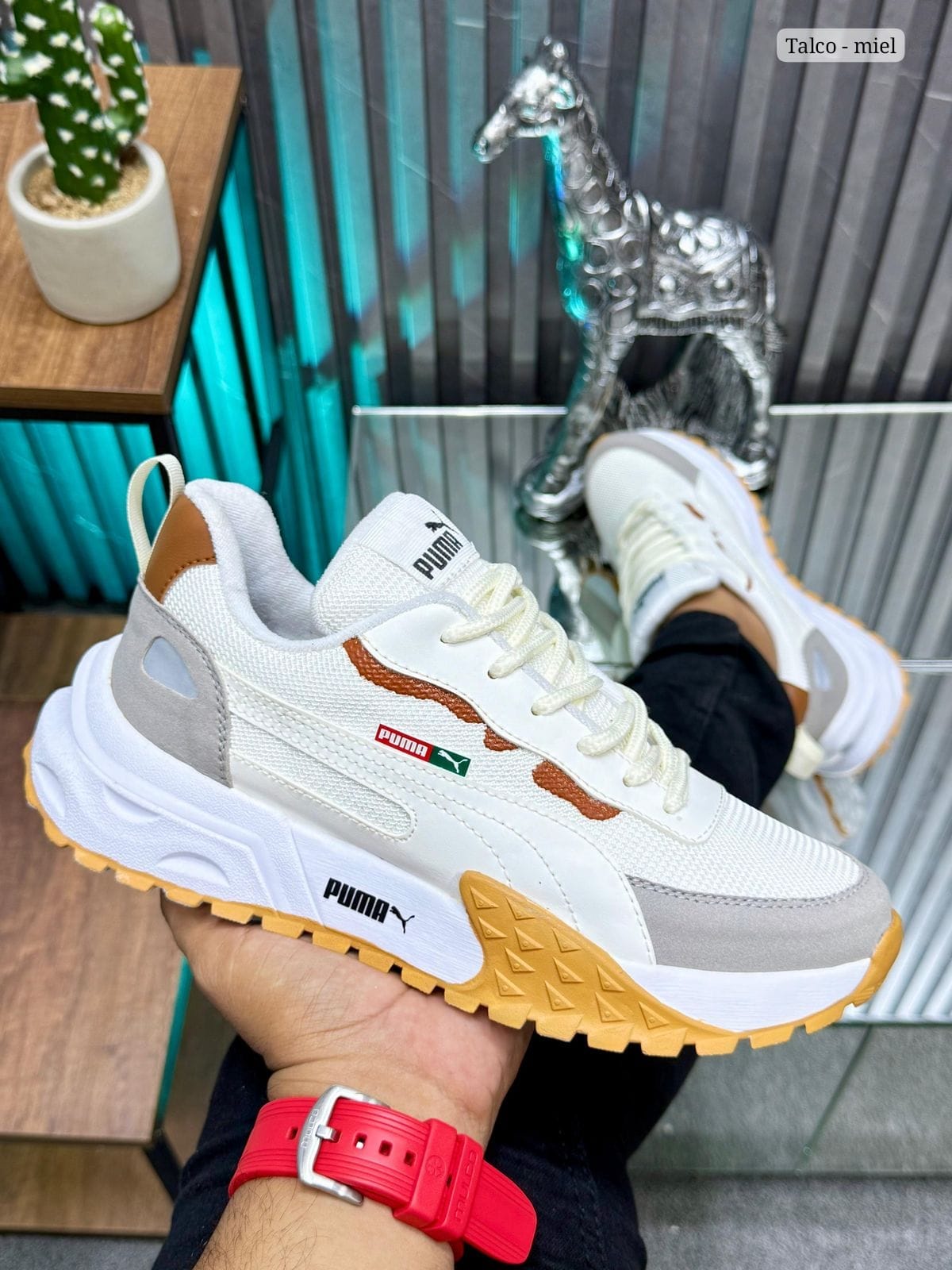 ¡TENIS PM! Nueva colección y Tendencia!