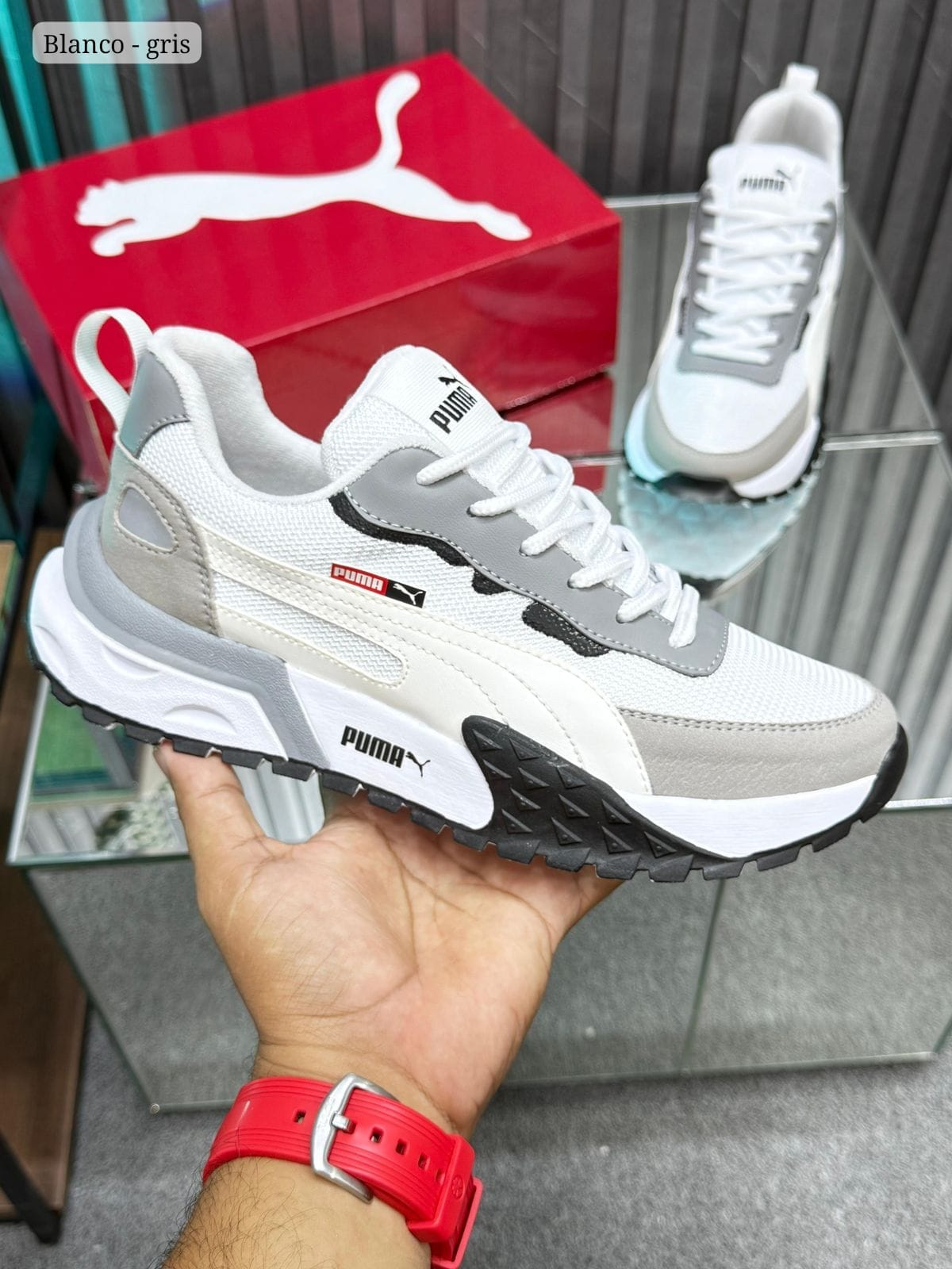 ¡TENIS PM! Nueva colección y Tendencia!