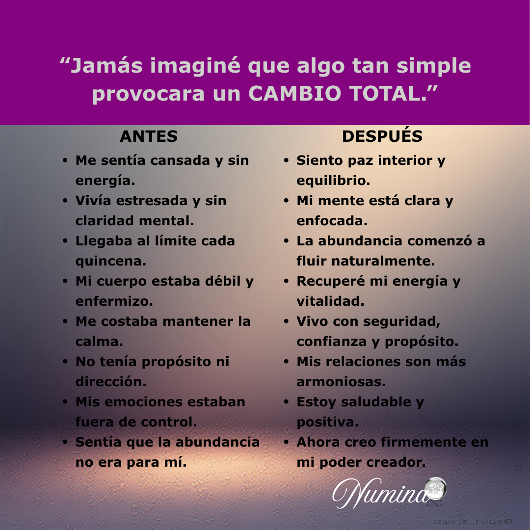 Brazalete con Propósito — Secuencias de Equilibrio Total