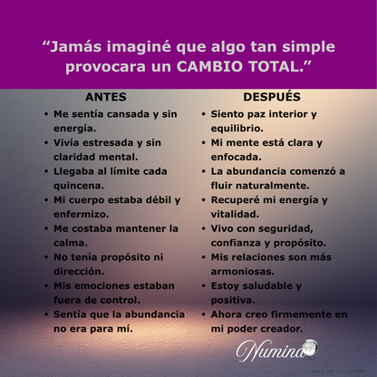 Brazalete con Propósito — Secuencias de Equilibrio Total