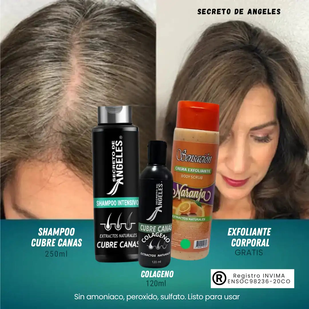 KIT 3x1 - SHAMPO CANAS SECRETOX 1UN+2OBSEQ