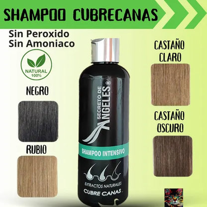 KIT 3x1 - SHAMPO CANAS SECRETOX 1UN+2OBSEQ