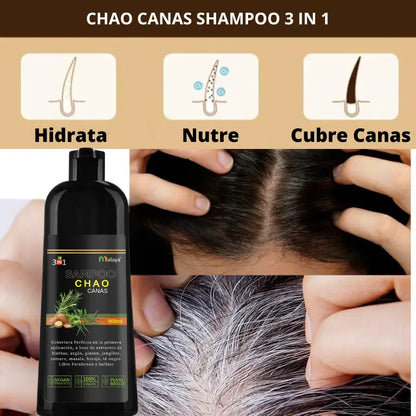 SHAMPOO CHAO  CANAS + TRATAMIENTO - Cobertura Natural en Minutos