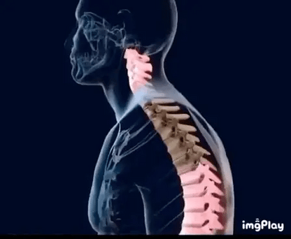 MASAJEADOR EMS+TAPET PIES + CORRECTOR POSTURAL