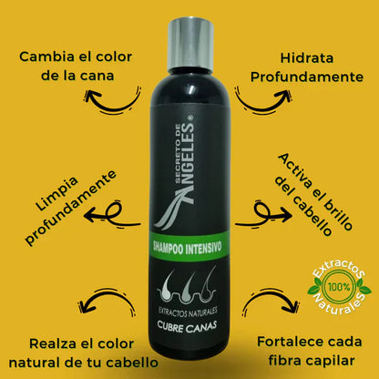 KIT 3x1 - SHAMPO CANAS SECRETOX 1UN+2OBSEQ